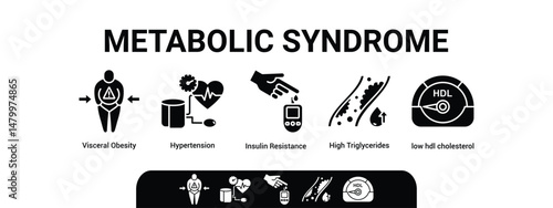 Symptoms of Metabolic Syndrome banner web icon vector illustration concept with an icon of Hypertension, Insulin Resistance, High Triglycerides, Low HDL-Cholesterol, Visceral Obesity