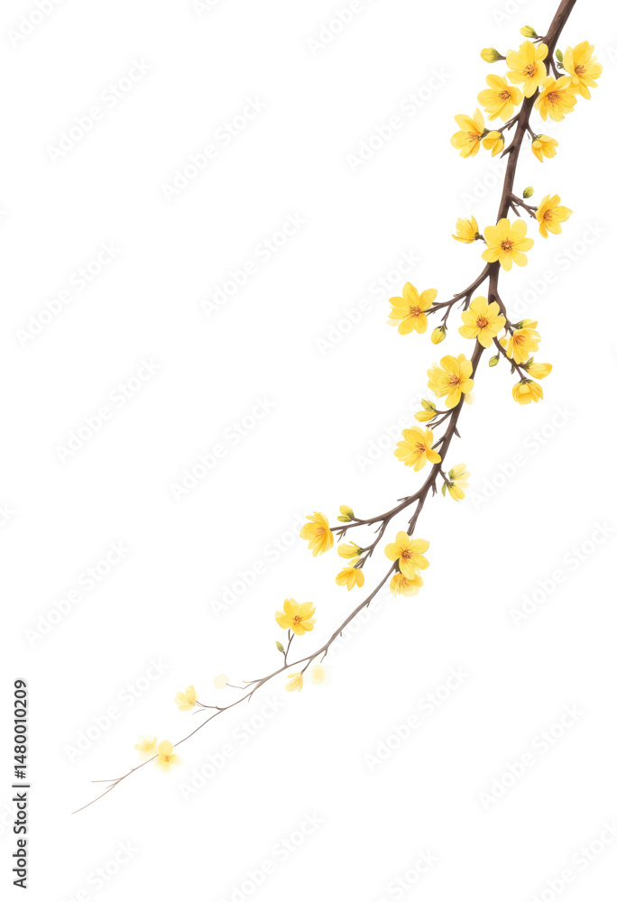 Delicate Yellow Blossoms on Branch Spring Serenity Delicate Yellow Blossoms on Branch Spring Serenity