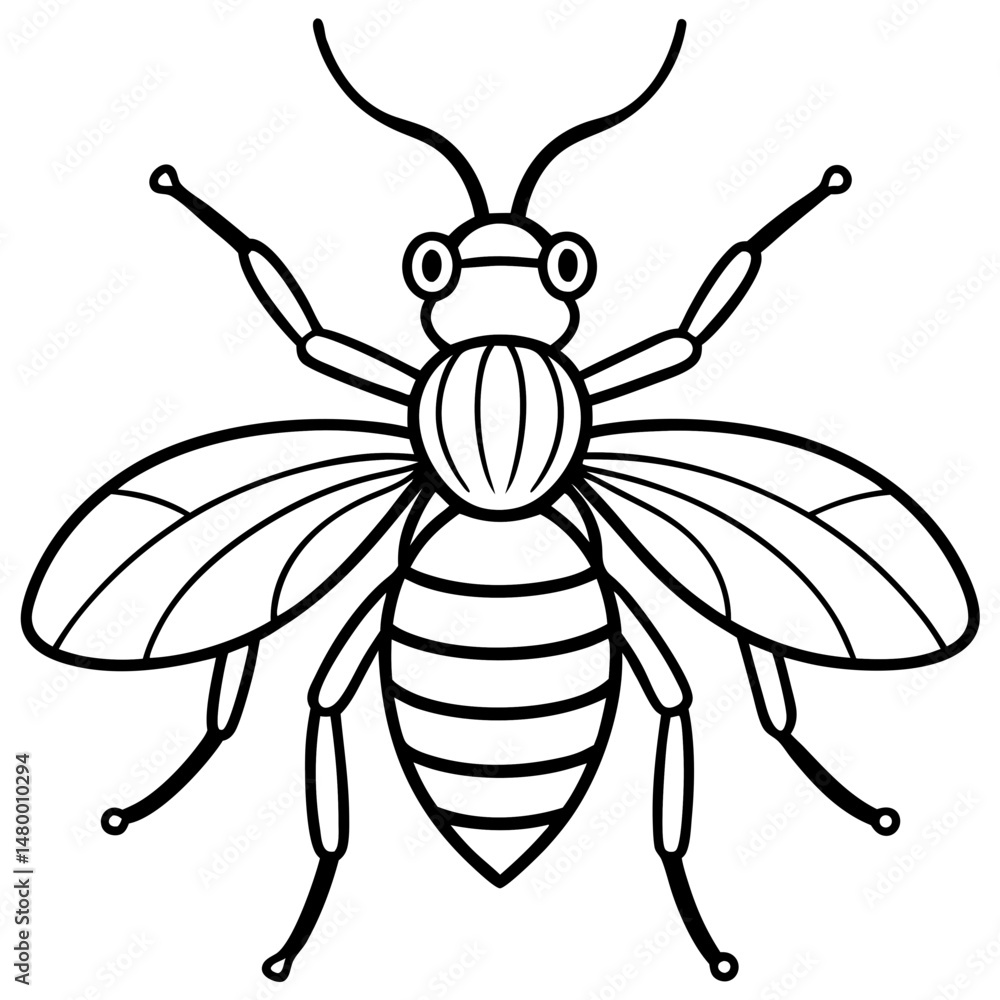 Insects and Rodents line art vector Insects and Rodents line art vector