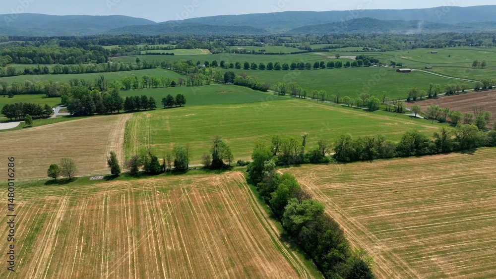 Fototapeta premium Virginia countryside with green grass, trees and fields and rolling hills in peaceful landscape 