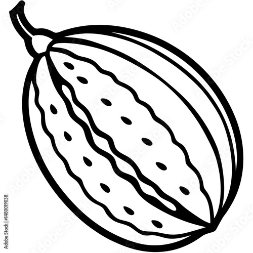 Stylized Bitter Melon Vector Illustration