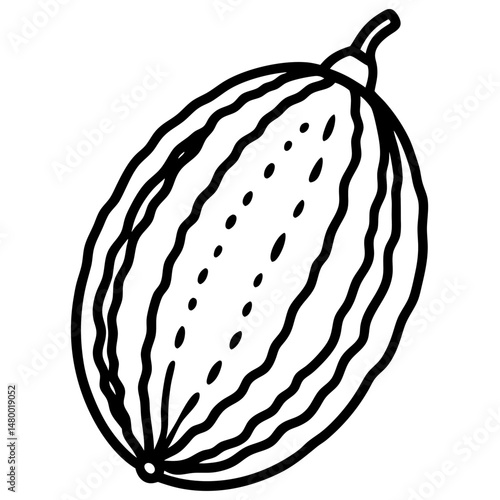 Stylized Bitter Melon Vector Illustration