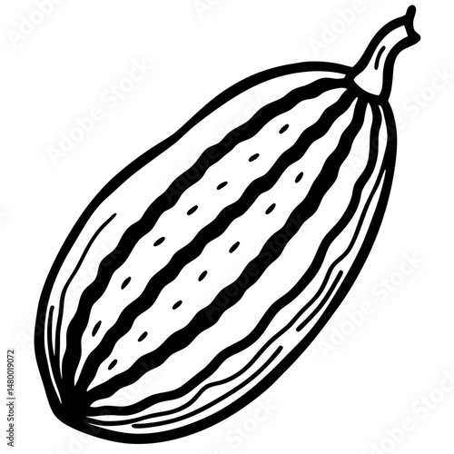 Stylized Bitter Melon Vector Illustration