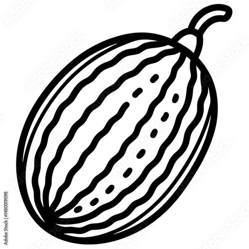 Stylized Bitter Melon Vector Illustration