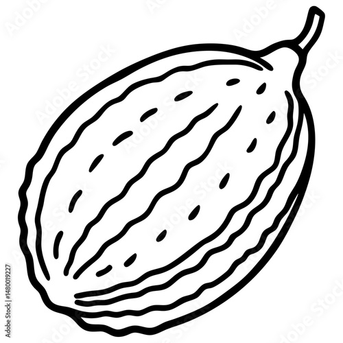 Stylized Bitter Melon Vector Illustration