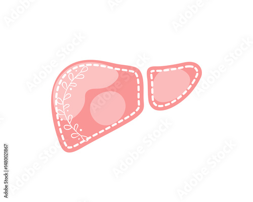 Healthy human liver isolated on white background. Vector illustration. Internal organ of human digestive system with leaves branch. Hand drawn flat cartoon style