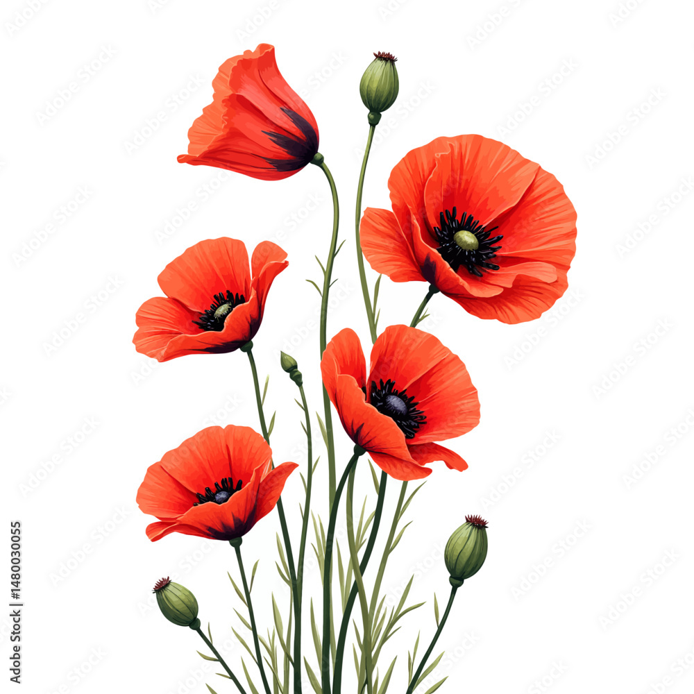 Fototapeta premium Vibrant Poppies Blooming in Bright Daylight