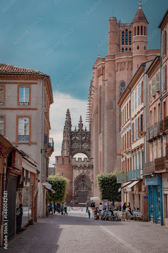 Fototapeta premium Albi avec les yeux de pixato