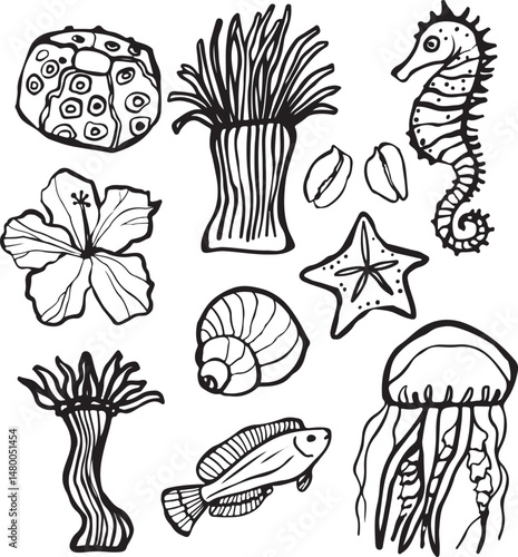 Vector doodle composition on a marine theme. Shells, seahorse, hydras, fish, jellyfish