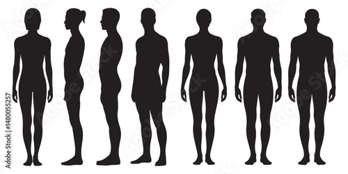 Male and Female Body Silhouettes Front and Side Views, Male Anatomy Diagrams Skeletal, Muscular, and Silhouette Views, human body anatomy, front, back, side view, vector woman and man