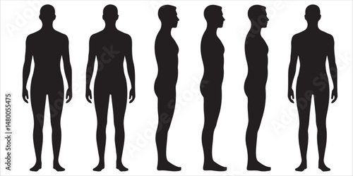 Male and Female Body Silhouettes Front and Side Views, Male Anatomy Diagrams Skeletal, Muscular, and Silhouette Views, human body anatomy, front, back, side view, vector woman and man