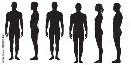 Male and Female Body Silhouettes Front and Side Views, Male Anatomy Diagrams Skeletal, Muscular, and Silhouette Views, human body anatomy, front, back, side view, vector woman and man