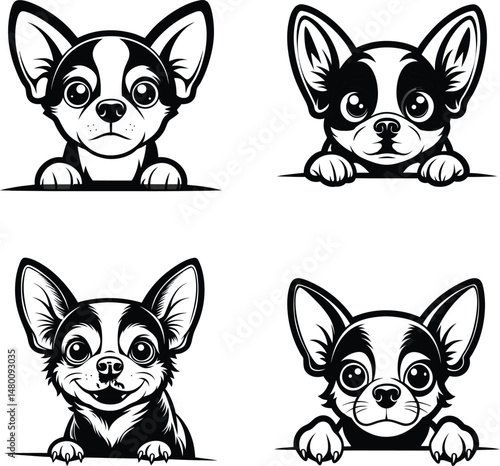 Adorable Chihuahuas peeking over a surface cute dogs black and white vector illustration