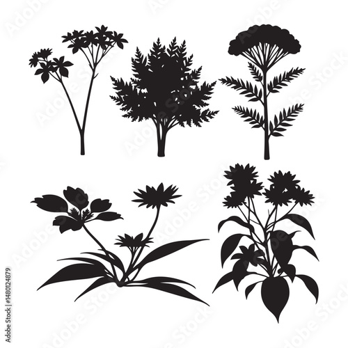 Set of different silhouettes of pine trees. Icon vector. Great for prints, cards, site and any your design.