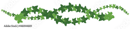 Curly Ivy Leaf Vine Decorative Plant Vector Illustration