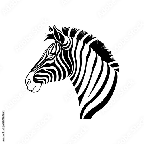 zebra vector illustration