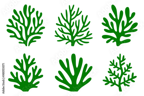 Green seaweed plant vector illustration graphic art