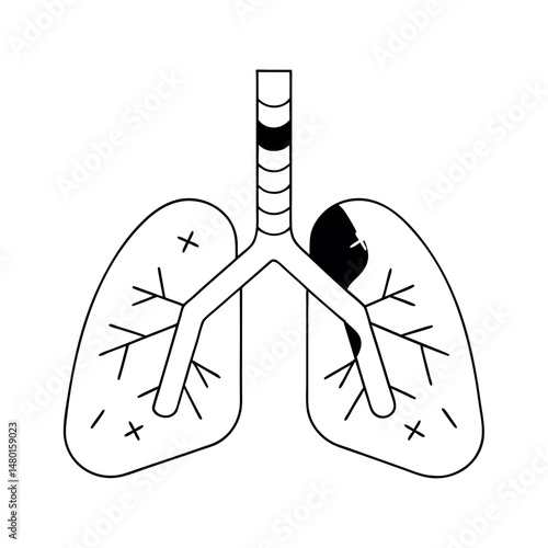 Lung Illustration , Human Anatomy with Healthy and Damaged Areas
