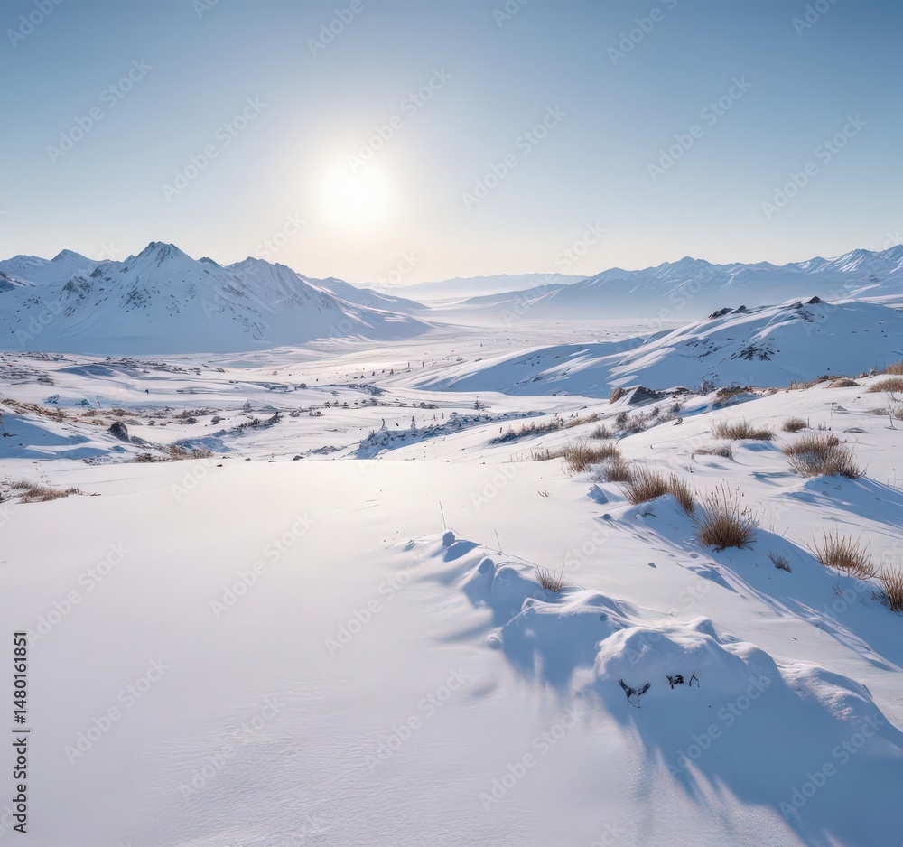 Vast, snow-covered landscape; clear winter sky , frost, design Vast, snow-covered landscape; clear winter sky , frost, design