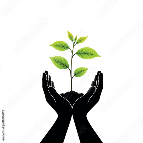 Vector silhouette of two hands holding plant on white background