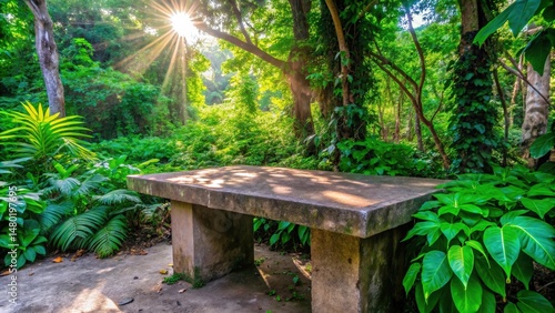 A stone table sits in the shade of a verdant forest, bathed in the golden rays of sunlight that pierce through the leaves.