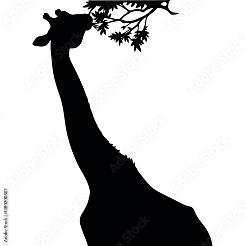 giraffe silhouette vector illustration