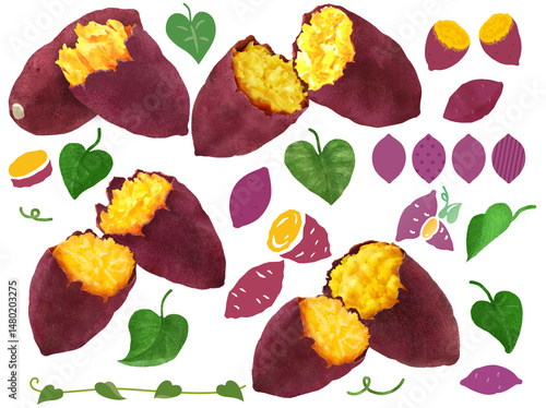 焼き芋、さつまいものイラスト(しずる感、リアル、写真、秋)　 sweet potato, autumn