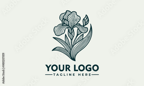 Elegant Line Art Illustration of an Iris Flower with Graceful Petals and Detailed Stem. Floral Design Concept