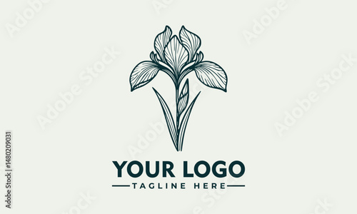 Elegant Line Art Illustration of an Iris Flower with Graceful Petals and Detailed Stem. Floral Design Concept