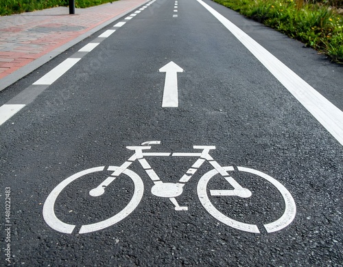 Wallpaper Mural Asphalt bike lane with white bicycle symbol and arrow.  Perfect for illustrating cycling infrastructure, road safety, or active transportation. Torontodigital.ca