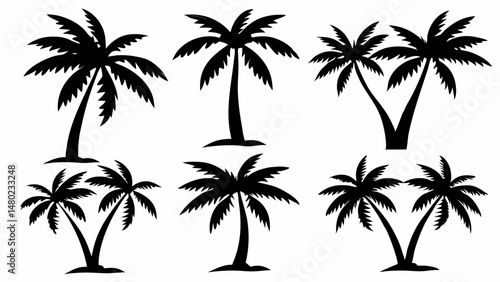 A group of palms