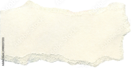 Wallpaper Mural Textured torn paper scrap. Vintage beige, ivory, cream cardboard. Ripped carton piece with eggshell texture. Universal background for collage, scrapbooking. Torontodigital.ca