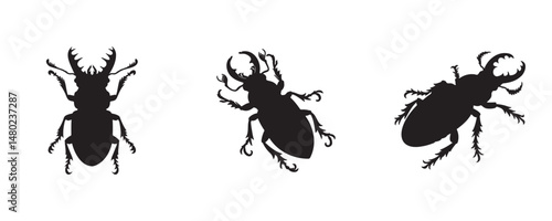 Set of three black borer beetle silhouettes, each with unique postures and detailed antennae, isolated on a white background, ideal for pest control or entomology visuals