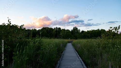 Scenic Wooden Boardwalk Through Marshland at Sunset