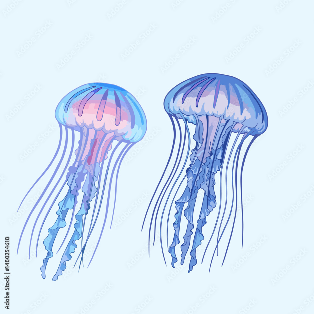 jellyfish vector illustration on white background jellyfish vector illustration on white background