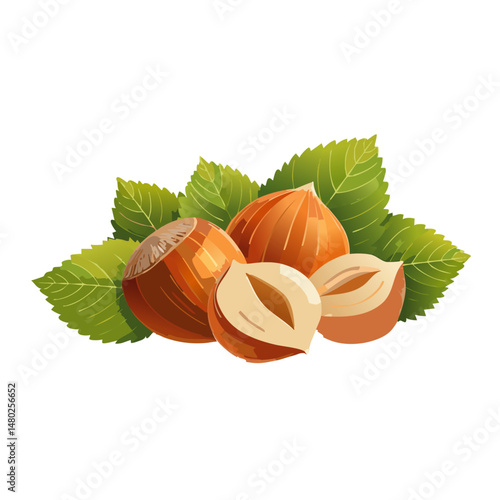 hazelnut on white background with green leaves vector graphic design