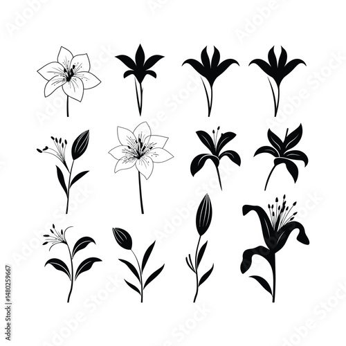 Lily Flower Silhouette Clipart Set Black on White Background