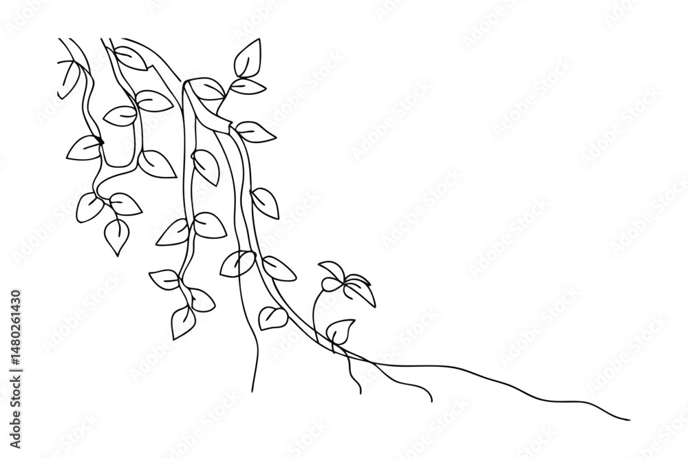 Fototapeta premium Elegant black and white vector illustration of a trailing vine with delicate leaves