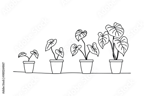 Plant growth stages depicted in black and white showing progression and development