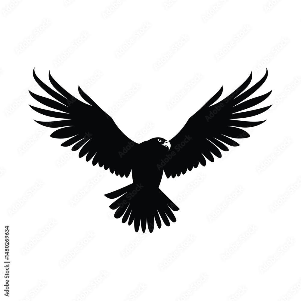 Obraz premium Hawk Bird Set Silhouette Clipart