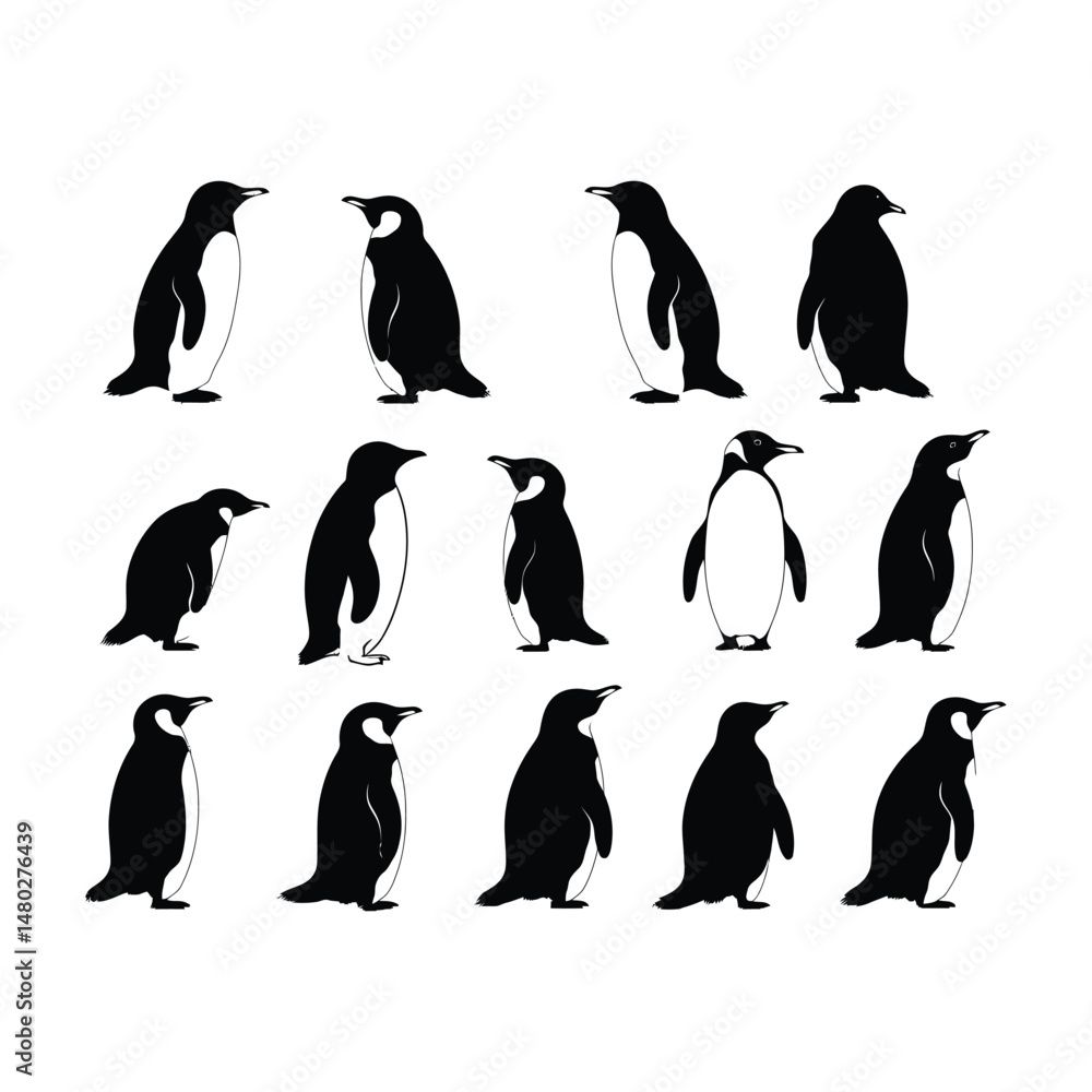 Naklejka premium Penguin Set Silhouette Clipart on White Background