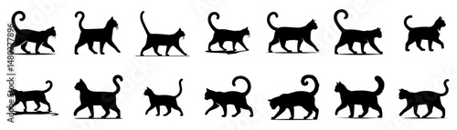 walking cat silhouette collection vector flat design style