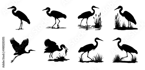 Heron Silhouettes Graceful Poses in Motion