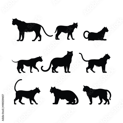 Tiger Set Silhouette Clipart on a White Background