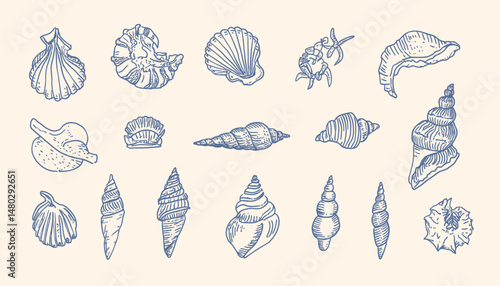 Hand-Drawn Seashells Set � Minimalist Line Art for Summer Vacation Prints, Labels, and Tropical Beach Designs