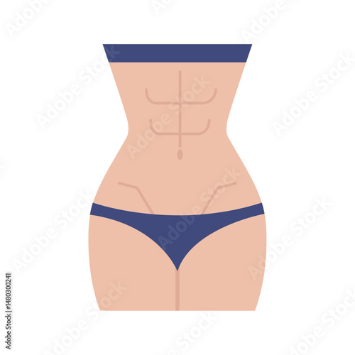 Vector Illustration of a Woman's Body with Defined Abs (Six Pack), Representing Fitness, Health, and a Strong Core