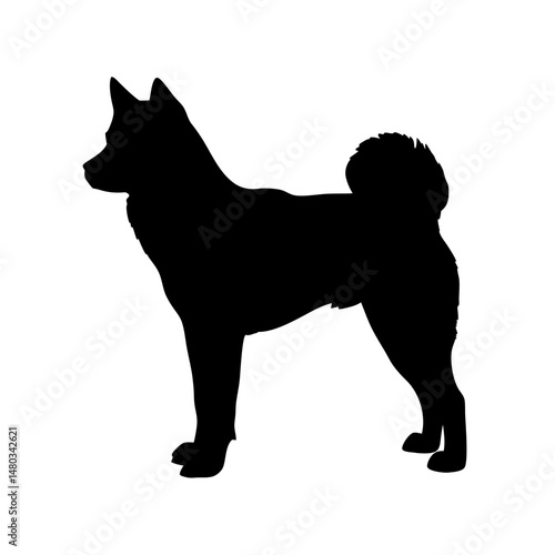 Akita inu dog silhouette vector image for pet lovers and dog breed enthusiasts akita art print