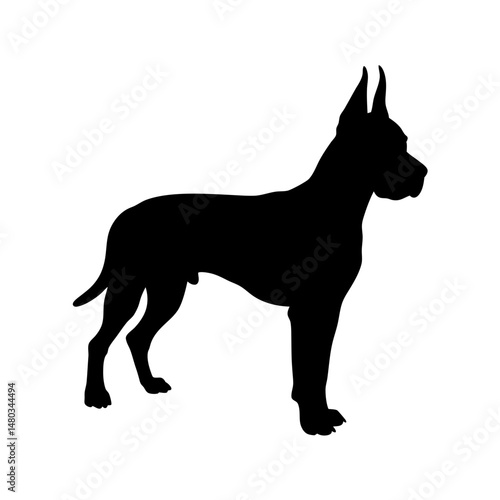 Black great dane dog silhouette vector image for pet lovers and dog breed enthusiasts design needs