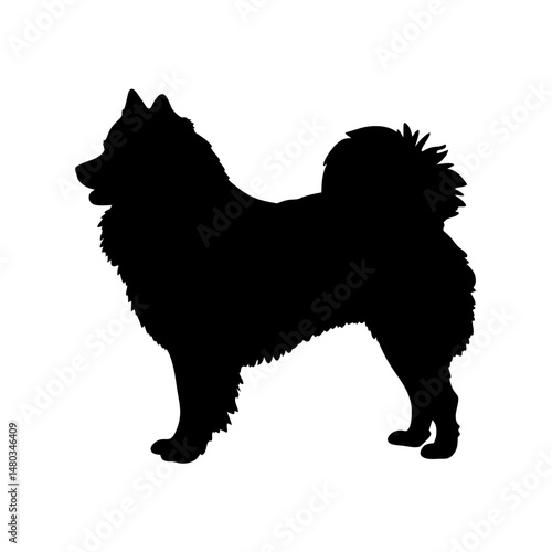 Eurasier dog breed silhouette vector illustration of purebred dog standing side view isolated on white