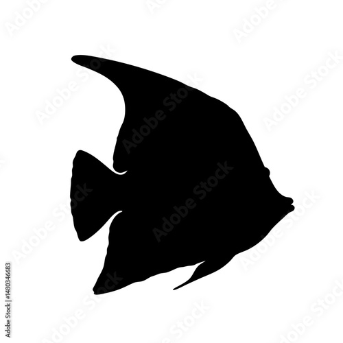 Isolated black silhouette of angelfish vector illustration for marine life and aquarium design needs